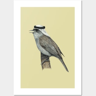 Eurasian blackcap Posters and Art